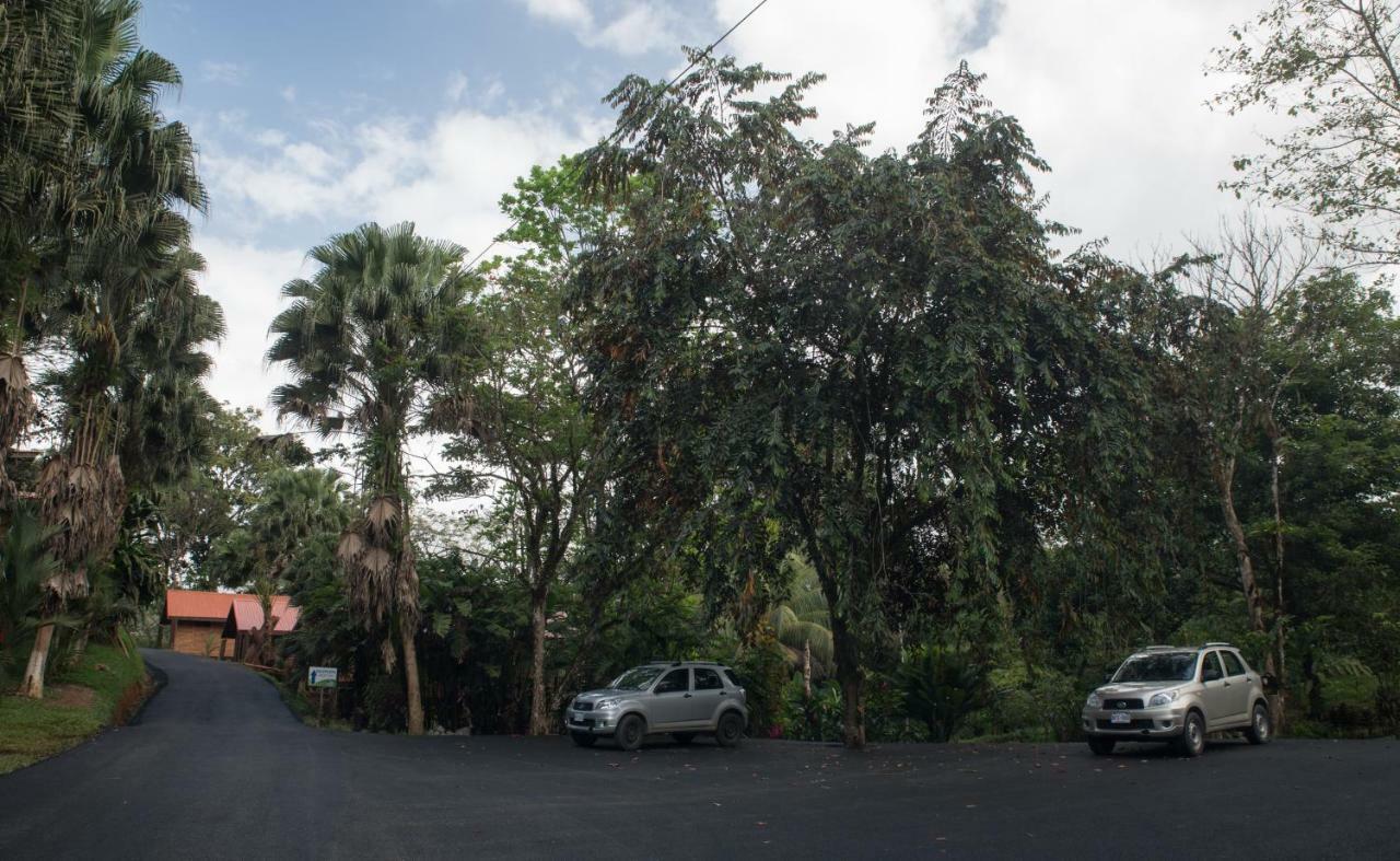 Hotel Pedacito De Cielo Boca Tapada Kültér fotó